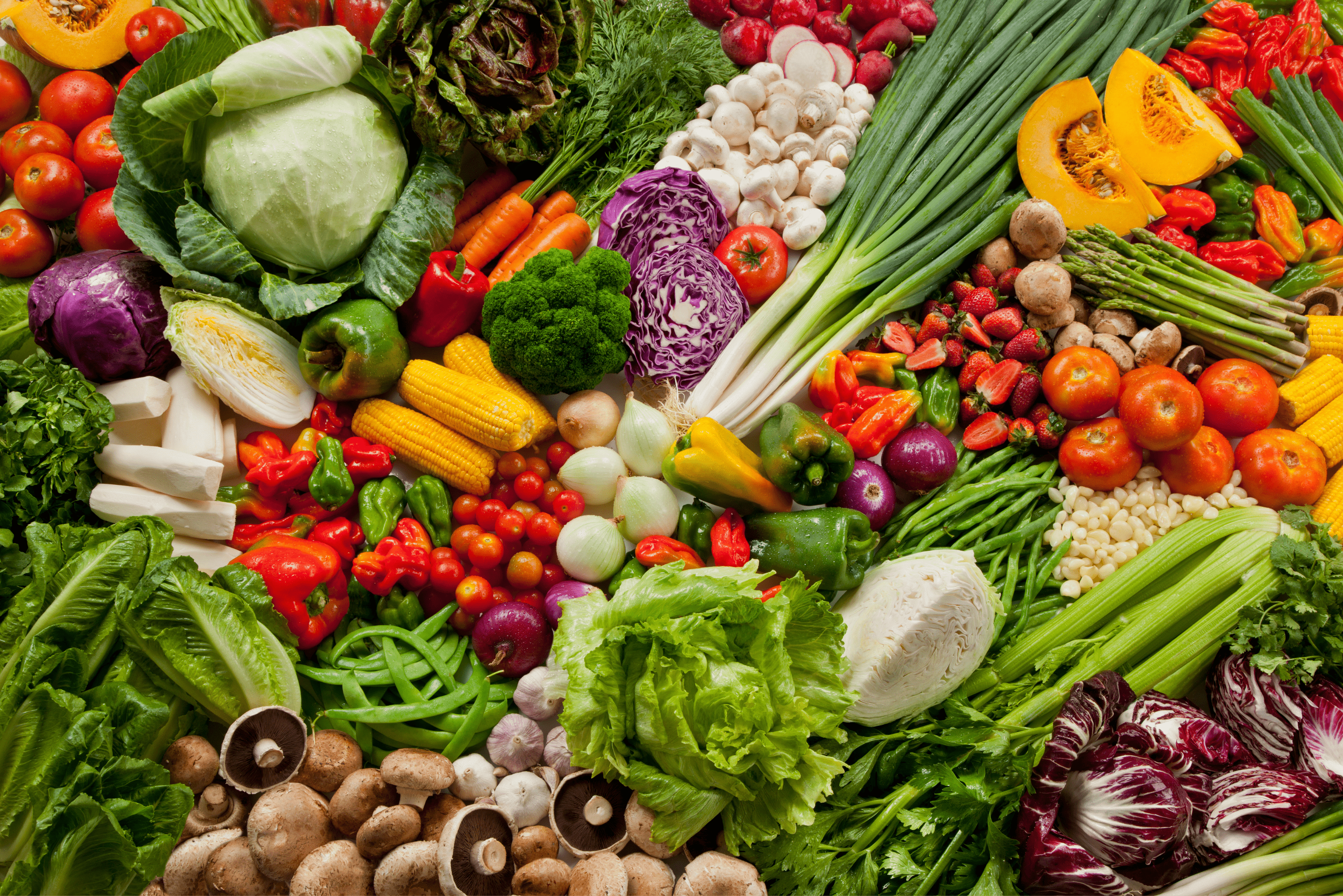 EUFCD(6282) - Culturas hortícolas comestíveis e não comestíveis, aromáticas, medicinais e condimentares - enquadramento